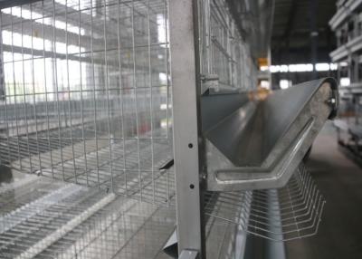 China Battery Industrial Poultry Equipment / Energy Saving Layer Farming Cage for sale