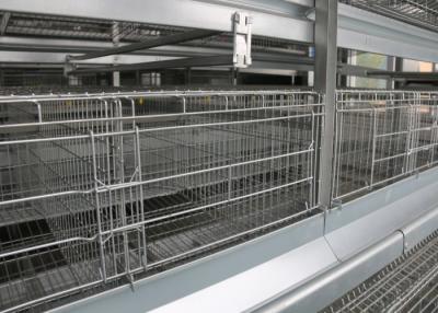 China High Capacity Poultry Breeding Cages A Frame Layer Cages Easy Maintain for sale