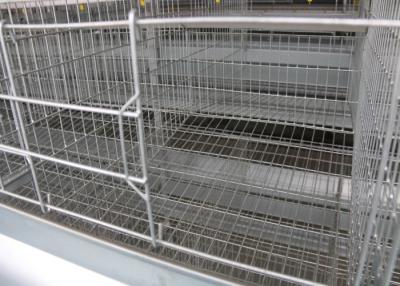 China Poultry Farm Layer Chicken Cage Modern  Multi - Tiers Chicken Wire Cage for sale