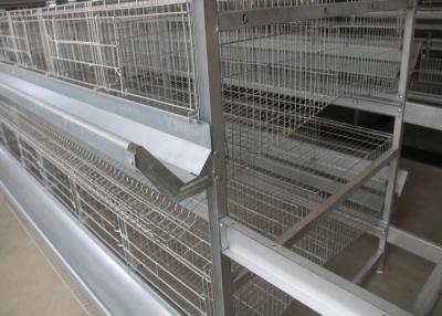 China Commercial H Type Layer Chicken Cage Save Energy Consumption Low Pollution for sale