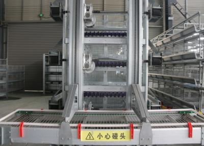 Chine Ans de durée de vie de la cage de poulet de couche de ferme avicole 15 à 20 de rapport de diminution d'oeuf et d'alimentation à vendre