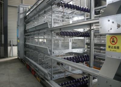China La salud de las jaulas de batería del pollo de la avicultura ata con alambre las jaulas de las aves de corral de poco ruido en venta