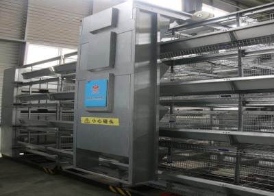 China Tipo de las jaulas de batería del pollo de la eficacia alta/H jaula del pollo de 45 días en venta