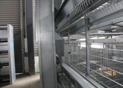 China Industrial Battery Broiler Cage System Enriched Cages For Laying Hens for sale