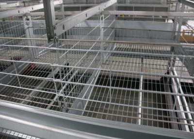 China Poultry Chicken Battery Cages / Chicken Farm Tools 120 Birds Capacity for sale