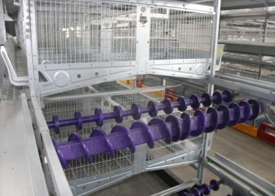 China Sistema de alimentación de la granja avícola de 8 gradas consumo de energía liso de la reserva de la superficie en venta