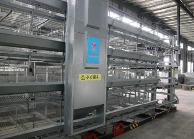 China Polluelo moderno que alza el equipo para el aumento de alta densidad de la gallina de la capa del huevo en venta