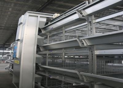 China High Capacity Broiler Farming In Cage System Environmental Friendly for sale