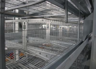 China A Frame Commercial Poultry Equipment Poultry Shed Customized Size for sale