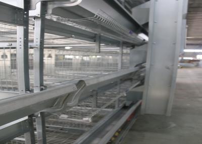 China Healthy Automated Poultry Equipment Good Daylight And Ventilation for sale