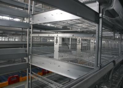 China Galvanized Industrial Open House Battery Cage System For Laying Hens for sale