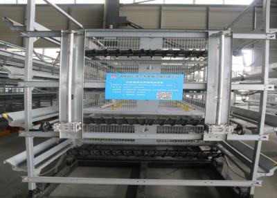 中国 熱い電流を通された養鶏場供給システム タイプ容易な維持 販売のため