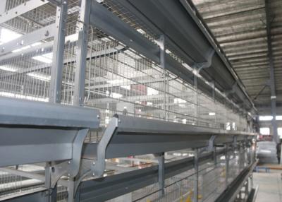 China Large Scale Modern Stackable Chicken Cages / Open House Battery Cage System for sale