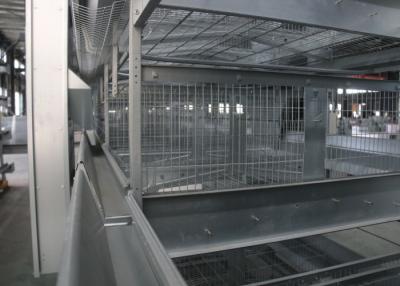 China Vertical Layer Poultry Farming Equipment Effectively Prevent Infectious Diseases for sale