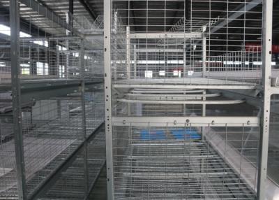 China H Type Broiler Chicken Cage Full Automatic Chicken Layer Equipment for sale