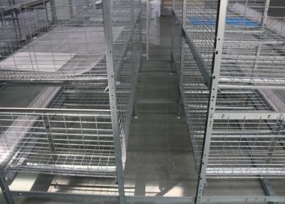 Chine Conception facile galvanisée de disposition d'utilisation de système de cage de poulet de couche d'immersion chaude librement à vendre