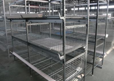 China Industrial Broiler Chicken Cage Farming Conventional Cages For Laying Hens for sale