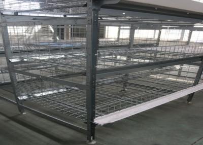 China Automatic Broiler Chicken Cage  System U - Shaped Steel Fram Long Lifespan for sale