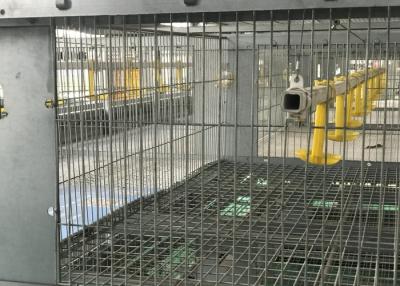 China Sistemas de riego de recirculación durables lavables de las aves de corral de Waterer del pollo en venta