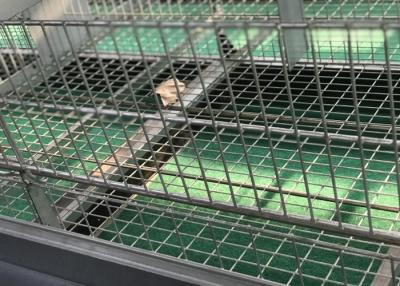 China Sistemas molhando das aves domésticas comerciais da exploração agrícola do pássaro das codorniz para galinhas das camadas das grelhas à venda