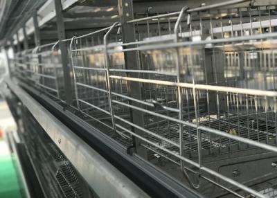 China Ningún circuito de agua confiable de la granja avícola de la primavera mercado del agua de 360 grados en venta