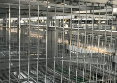 China Circuito de agua de la granja avícola del bebedor de la entrerrosca fácil actuar la certificación ISO9001 en venta
