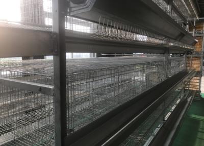 China El circuito de agua de la granja avícola de la conveniencia con descenso ahueca 15-20 años de vida útil en venta