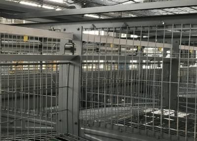 China Estructura simple de alta resistencia del sistema de riego de la parrilla del circuito de agua de granja avícola en venta