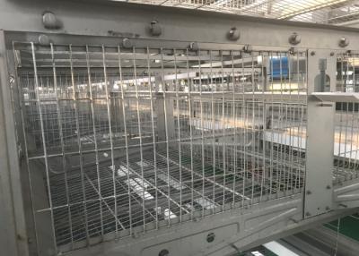 China Línea de alimentador de las entrerroscas del agua del circuito de agua de la granja avícola del pollo certificación de ISO9001 en venta