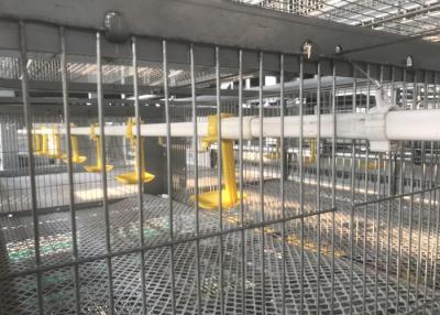 Китай Профессиональный бройлер системы водообеспечения птицефермы наслаивает ниппель Ватерер винта реактор-размножитела продается
