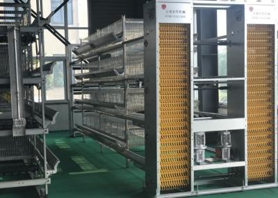 China Sistema automático del alimentador de las aves de corral de las aves de corral del sistema automático comercial del alimentador en venta