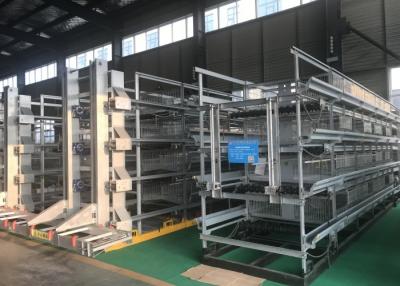 China High Tech Automatic Broiler Feeding System Increase Survival Rate ISO9001 Certification for sale