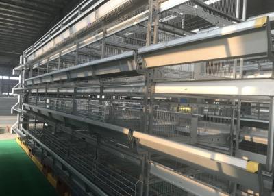 China Vida de servicio larga de la maquinaria de custodia de aves de corral de la eficacia alta para el área tropical en venta