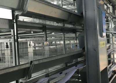 Chine Système automatique de conducteur de volaille de rangées du professionnel 6 utilisé sur la cage de poulet à vendre