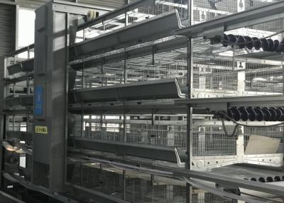 Chine Système automatique galvanisé à chaud de conducteur de volaille pour le type cage de H de couche à vendre