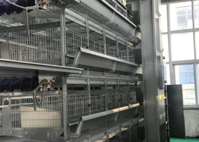 China Vida de servicio larga de la alta de Strenghth de las aves de corral del alimentador salud automática del sistema en venta