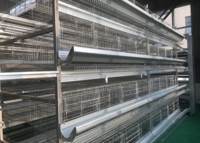 China Pequeña tierra del ahorro de la huella de las aves de corral del sistema automático de alta densidad del alimentador en venta