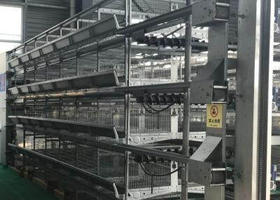 China Sistema automático del alimentador de las aves de corral del alto rendimiento conveniente mantener en venta