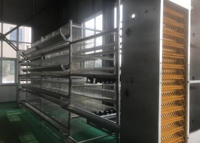 China Energy Saving Chicken Farm Machinery With Feed Trough 15-20 Years Lifespan for sale