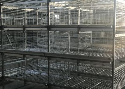 China Professional 4 Tiers Poultry Breeding Cages High Labor Production Efficiency for sale