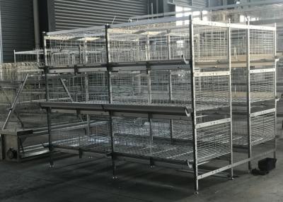 China Anti - Corrosion Broiler Chicken Cage Farming Epidemic Disease Easy Controlled for sale