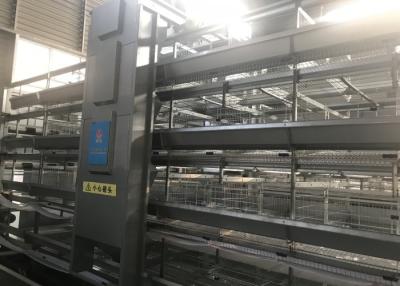 China Jaulas enriquecidas de aumento de alta densidad para el material del alambre de acero de las ponedoras Q235 en venta