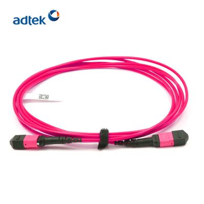 China Cable fibroóptico de la base OM4 de MPO MTP de remiendo del cordón de la chaqueta violeta 12 del PVC/de LSZH en venta