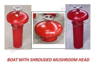 China Externally open mushroom vents with Dg=100 are usually marked as: hood ventilator with deflector A100 CB455-65 for sale
