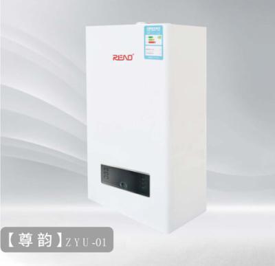 China Ng-Flüssiggas, das Edelstahl-sofortige Warmwasserboiler des Kessel-42kw kondensiert zu verkaufen