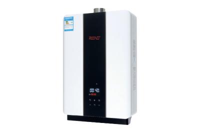 China Instant Hot Gas Hot Water Heaters 24L Wall Mount Gas Boiler Stainless Steel Shell for sale