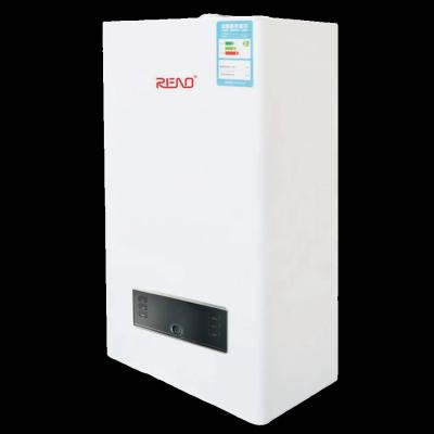 China Copper Plate Exchanger Style Wall Mounted Gas Boiler For Heating And Bathing for sale