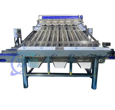 China 4900W SUS304 Prawn Grading Machine , Durable Shrimp Washing Sorting Machine for sale