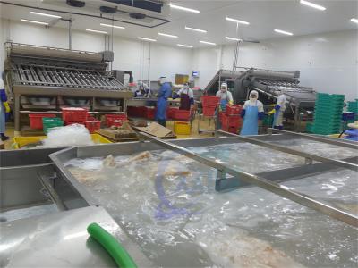 Chine ISO Industrie automatique de transformation du poisson, usine multifonctionnelle de transformation des fruits de mer à vendre