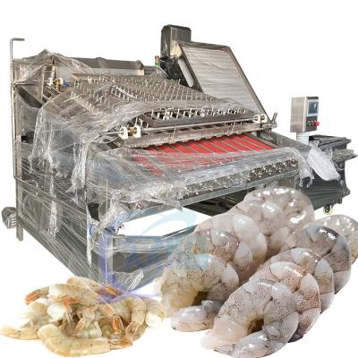 Cina PLC Industrial Shrimp Peeling Machine, SUS304 Shrimp Shell Removing Machine (Motore industriale per la rimozione delle conchiglie di gamberetti) in vendita